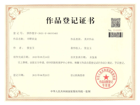 作(zuò)品登記證書(shū)